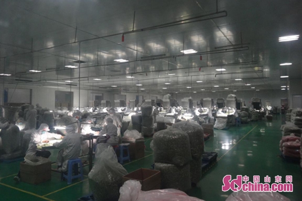 菏泽赢多多官网脱水食品有限公司：科学防控疫情 有序复工复产